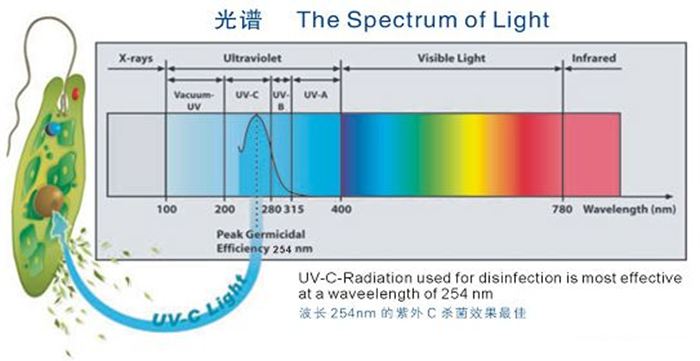 科普！紫外線殺菌燈對人體影響及正確使用方法